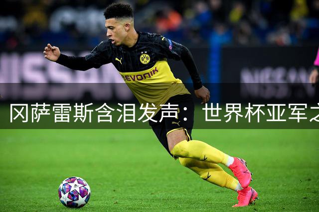 冈萨雷斯含泪发声：世界杯亚军之痛难言喻 但阿根廷精神永不倒