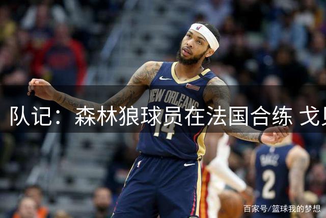 队记：森林狼球员在法国合练 戈贝尔承担了全队在巴黎所有的费用